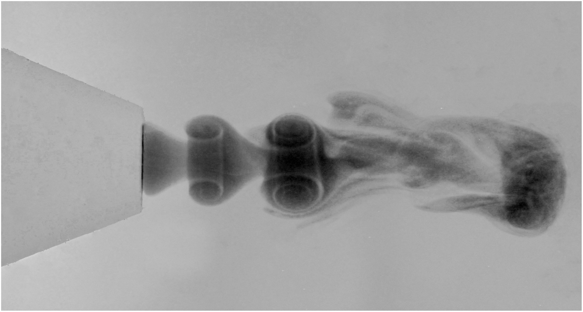 Grayscale visualization of vortex rings merging downstream of the nozzle